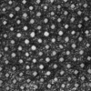 Unkraut-Vlies 25x2m 50g/m²