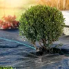 Unterboden-Gewebe 10x2m, 100g/m²