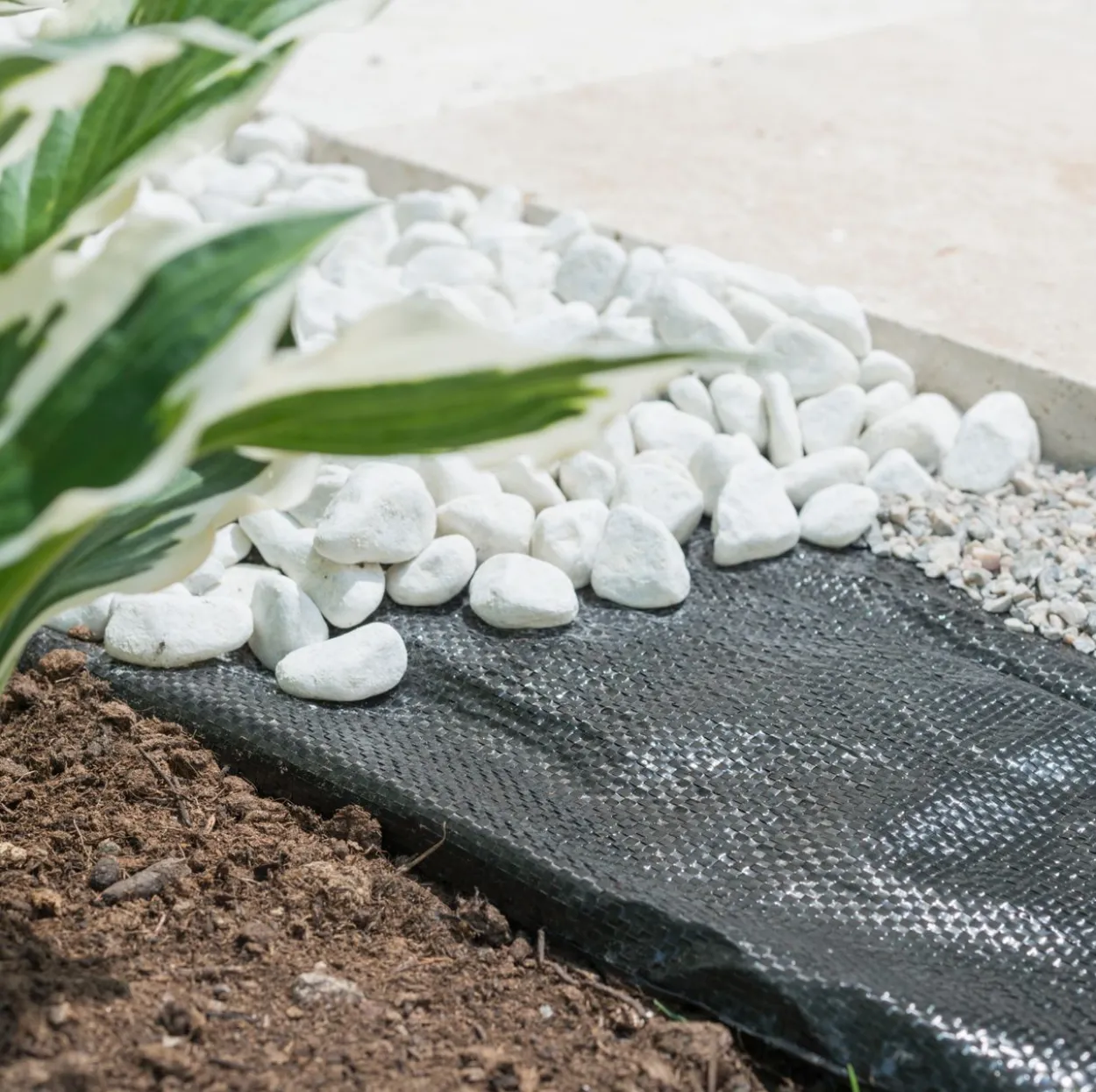Unterboden-Gewebe 10x2m, 100g/m²
