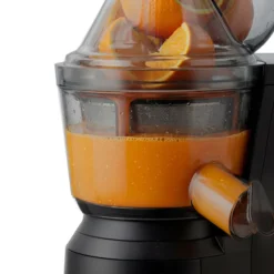 Vertikaler Entsafter Slow Juicer Vitamin + GSX24 Schwarz