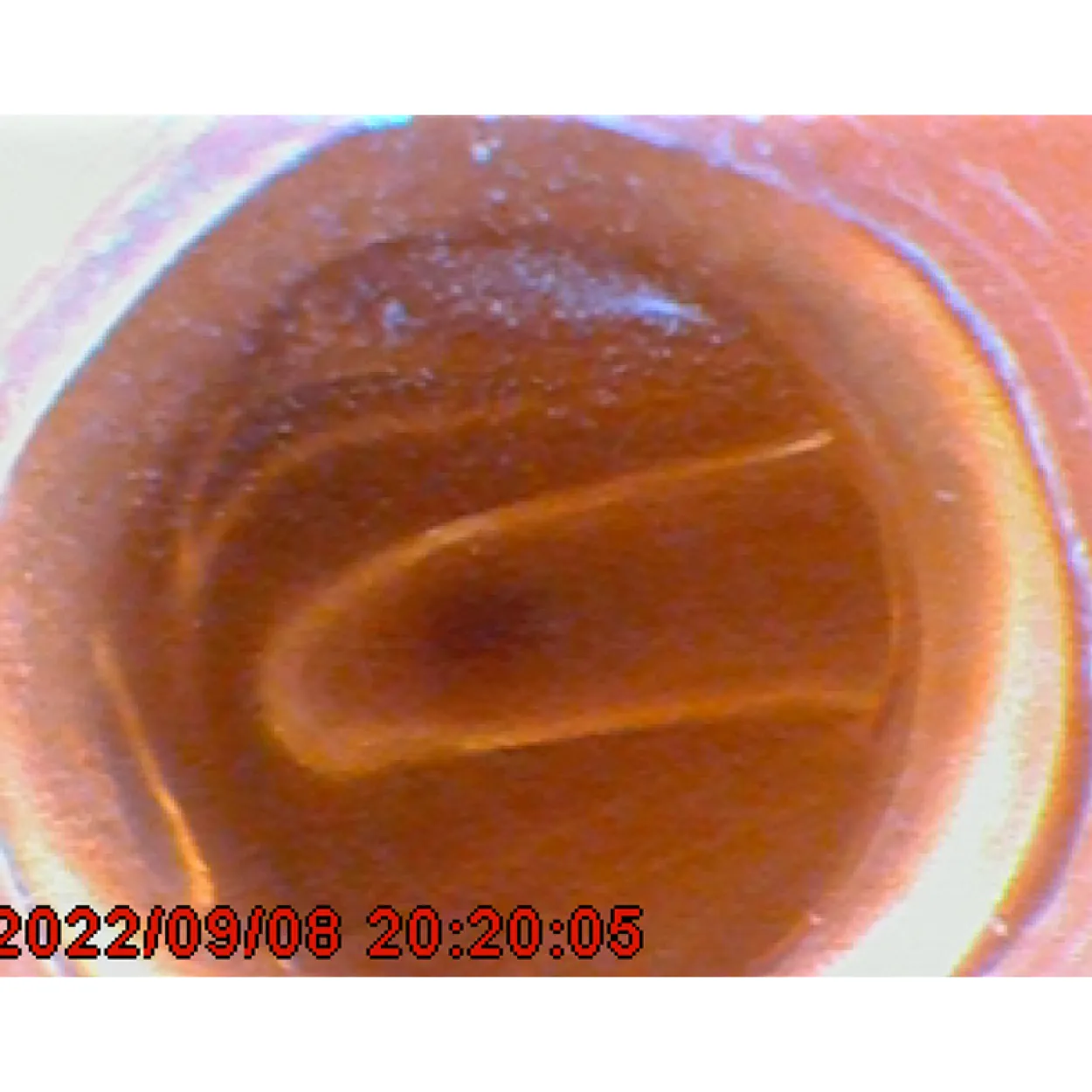 Videoendoskop PCE-VE 350HR3