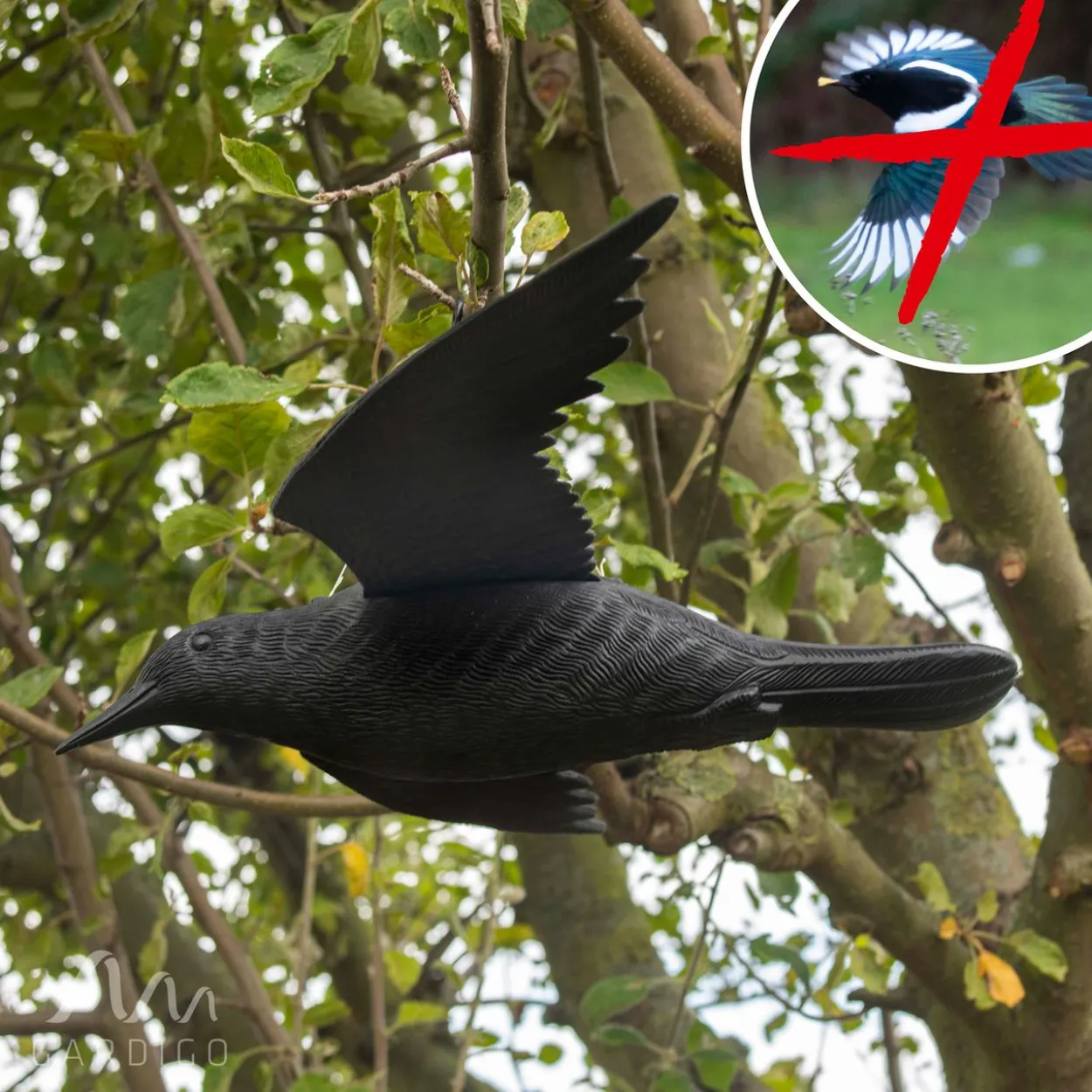Vogel-Abwehr Falke