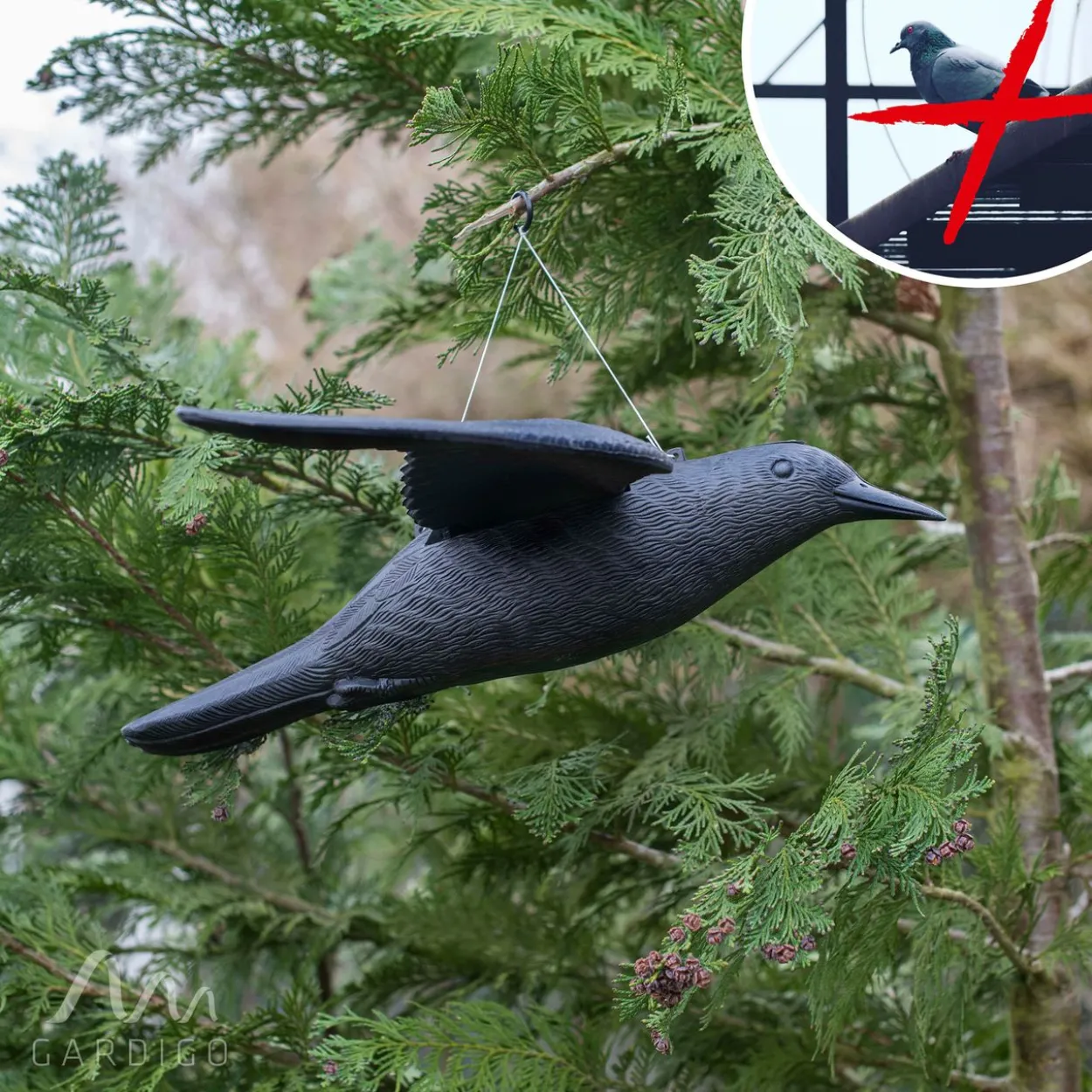 Vogel-Abwehr Falke