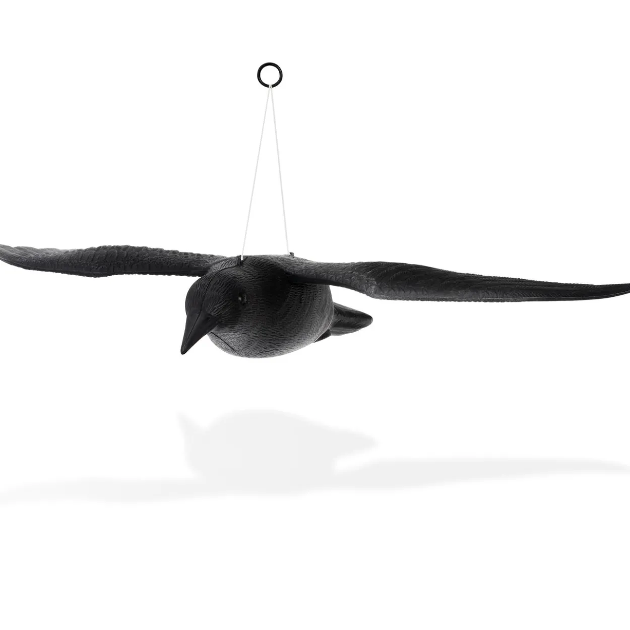 Vogel-Abwehr Falke