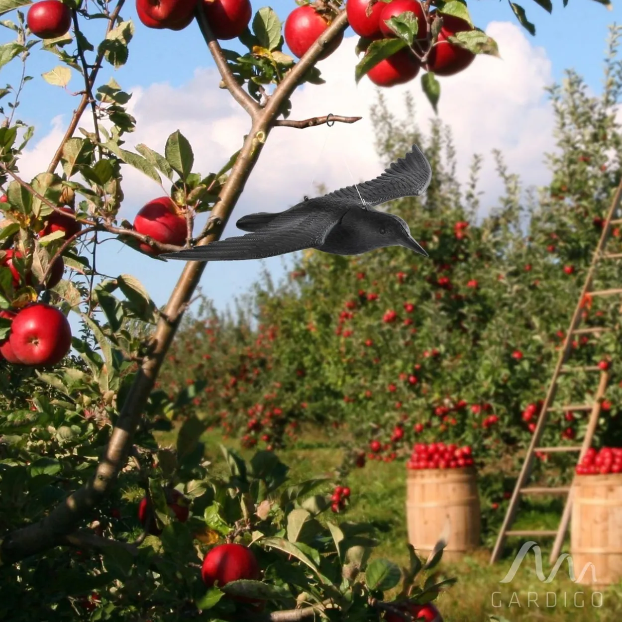 Vogel-Abwehr Falke