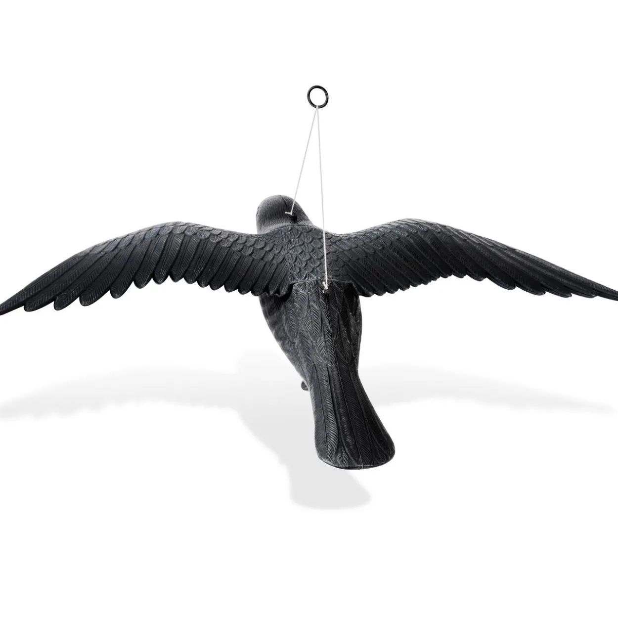 Vogel-Abwehr Falke