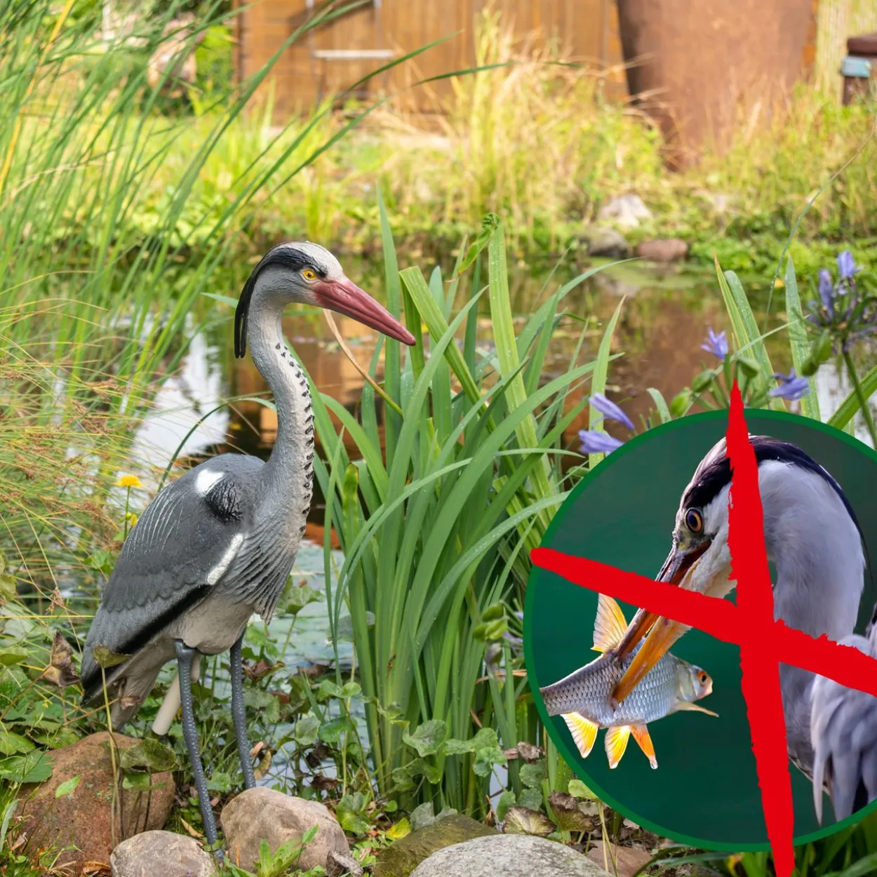 Vogel-Abwehr Reiher