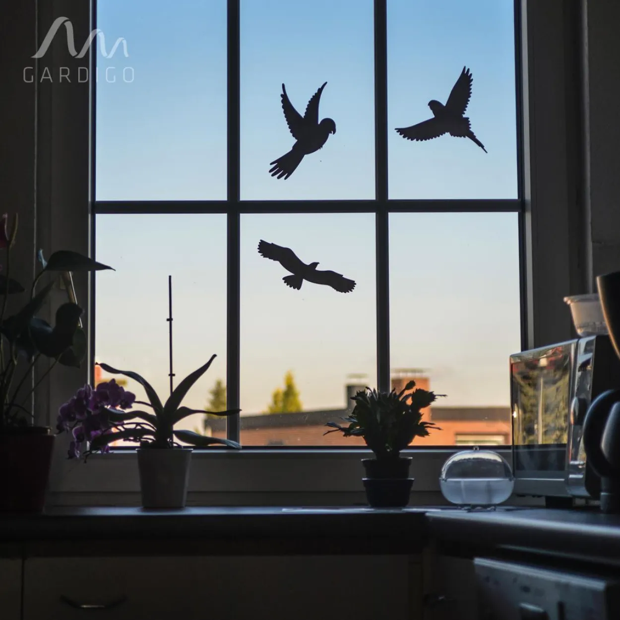Vogelfrei Silhouetten 5er Set