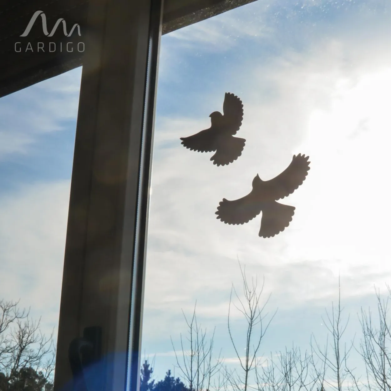 Vogelfrei Silhouetten 5er Set