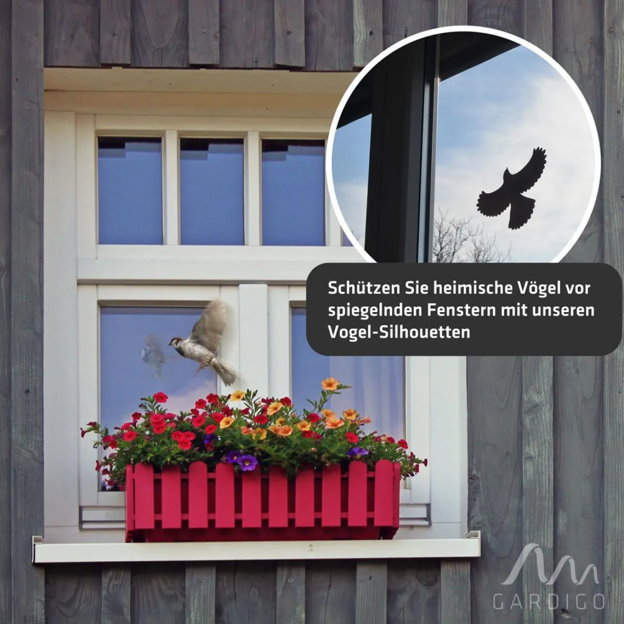 Vogelfrei Silhouetten 5er Set