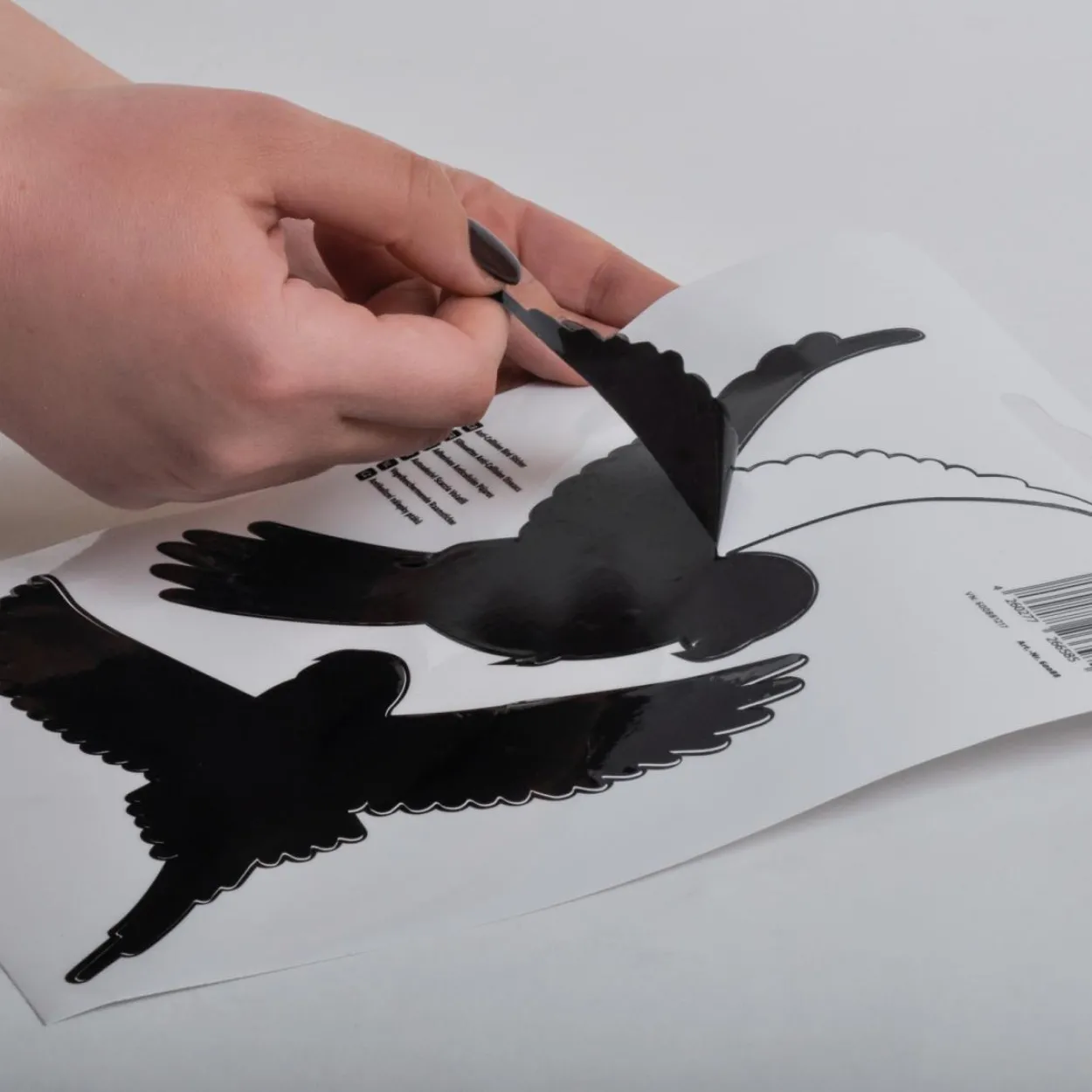 Vogelfrei Silhouetten 5er Set