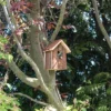 Vogelhaus Natur