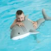 Westmann Pool Buddy Hai