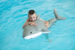 Westmann Pool Buddy Hai