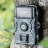 Wildkamera 1080p TX-256