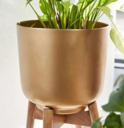 WOHNLING Blumentopf 2er Set Metall Holz Pflanzenkübel Gold Rund Pflanzgefäß